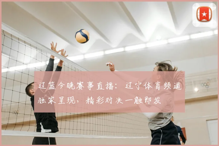 辽篮今晚赛事直播：辽宁体育频道独家呈现，精彩对决一触即发