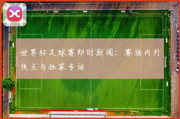 世界杯足球赛即时新闻：赛场内外焦点与独家专访