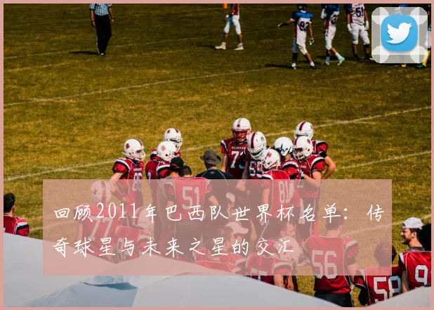 回顾2011年巴西队世界杯名单：传奇球星与未来之星的交汇