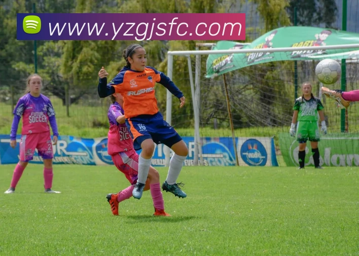 mk国际体育官网品牌故事